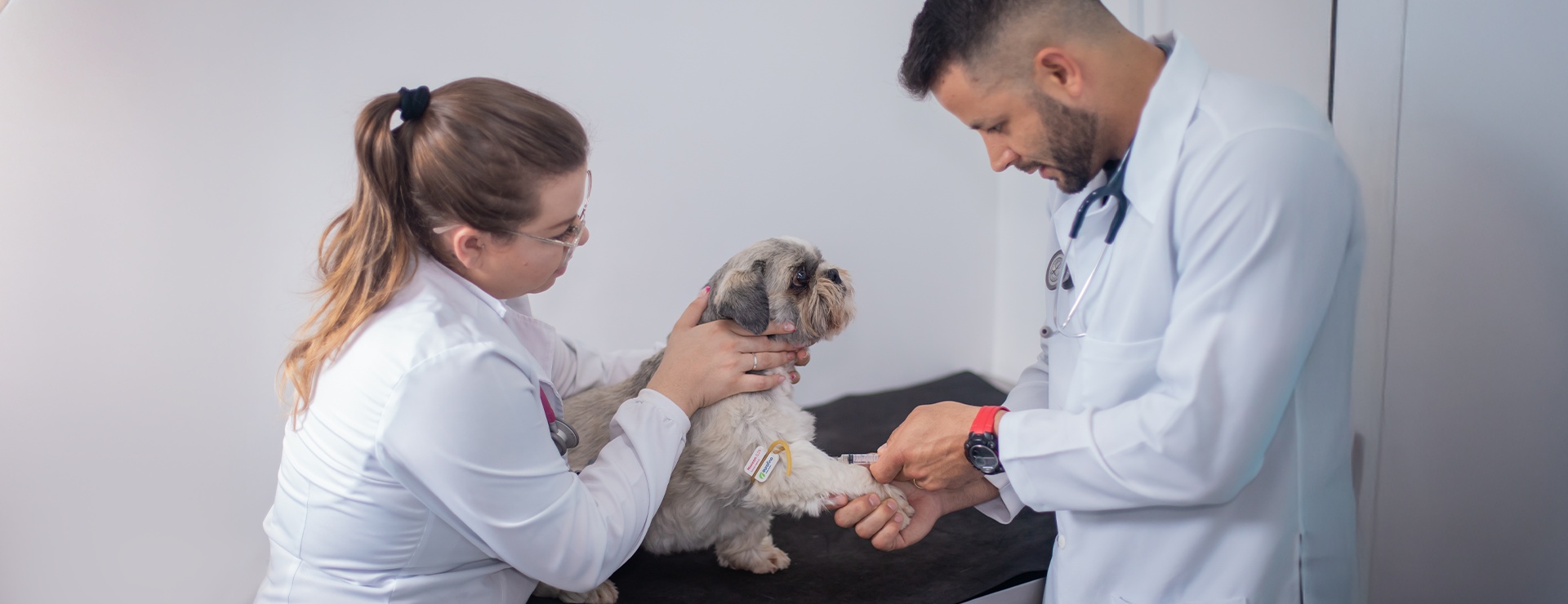 Clínica Veterinária Novo Horizonte